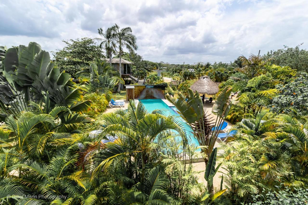 Almond Tree Hotel Resort コロサル エクステリア 写真