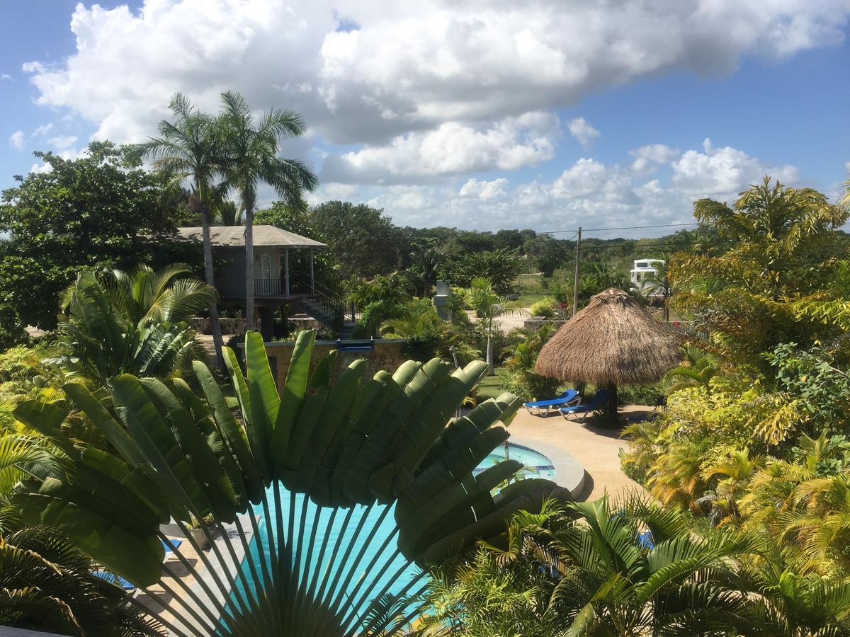 Almond Tree Hotel Resort コロサル エクステリア 写真