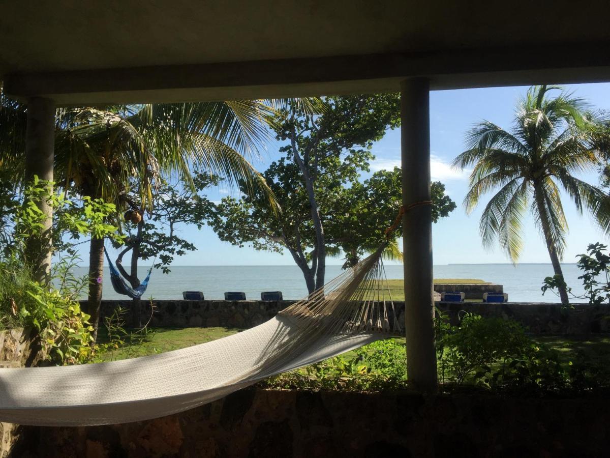Almond Tree Hotel Resort コロサル エクステリア 写真